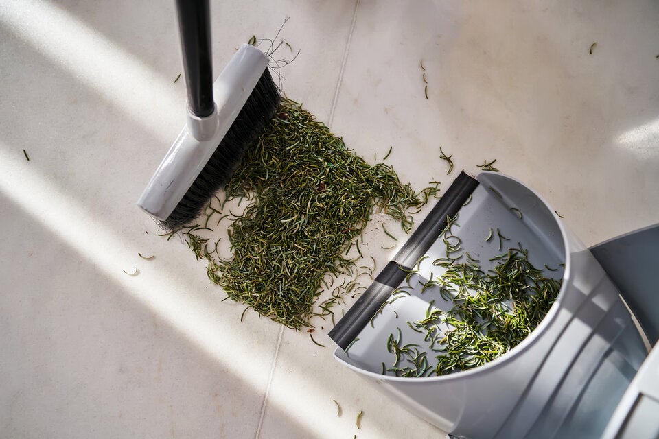 Weihnachtsbaum richtig entsorgen: Diese Regeln sollten Sie beachten