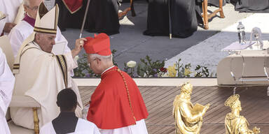 Papst Franziskus Francis Prevost