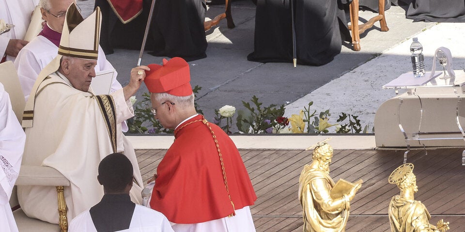 Papst Franziskus Francis Prevost