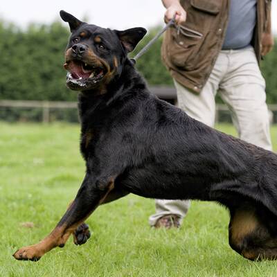 Das war das Jahr 2018