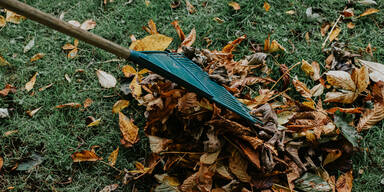 Herbstlaub auf dem Rasen: Soll man es liegen lassen oder entfernen?