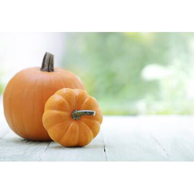 Gesundes im September