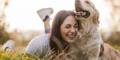 Neue Studie: DAS wollen uns unsere Hunde wirklich sagen