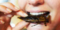 So gesund ist es Insekten zu essen