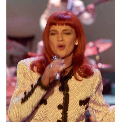 Dschungelcamp 2017: Die Stars