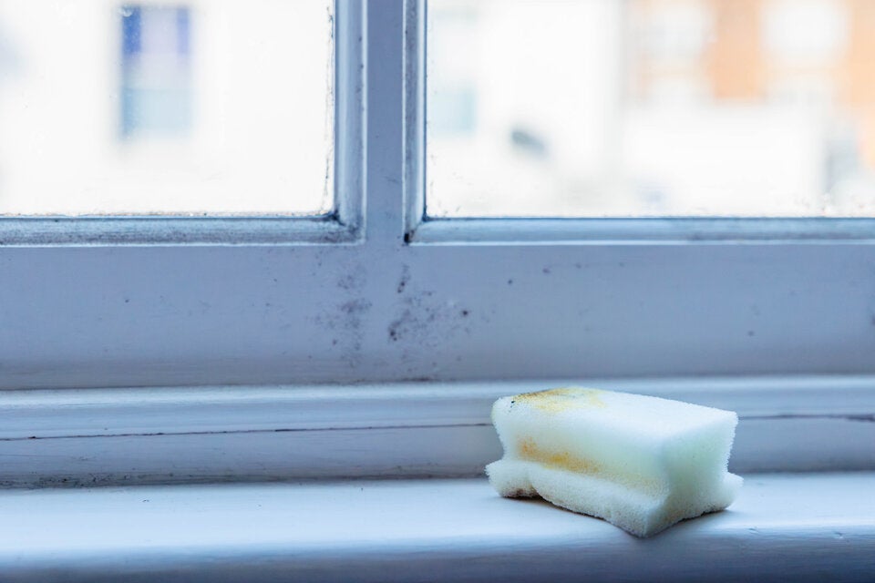 Gefahr im Winter: Schimmel-Tipps, die mehr schaden als nützen