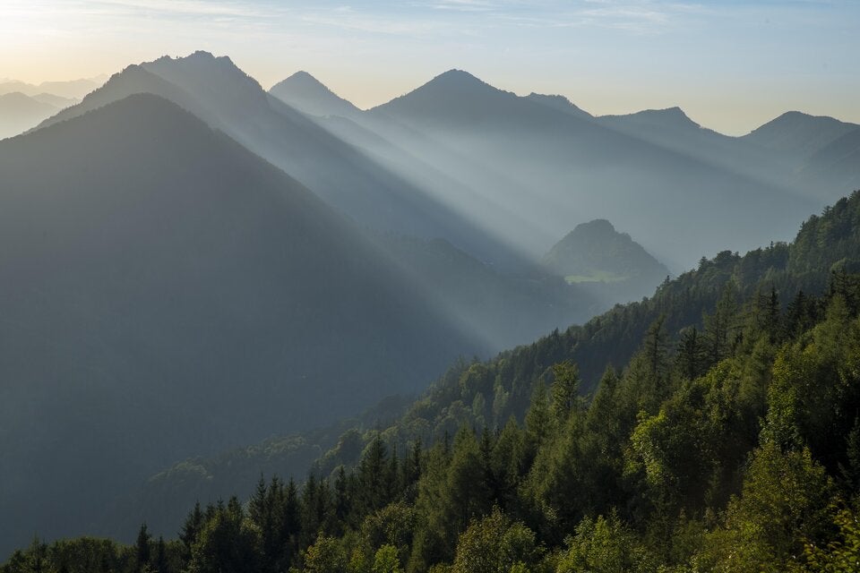 Frühlingserwachen: Die besten Wanderungen für das 20-Grad-Wochenende in Österreich