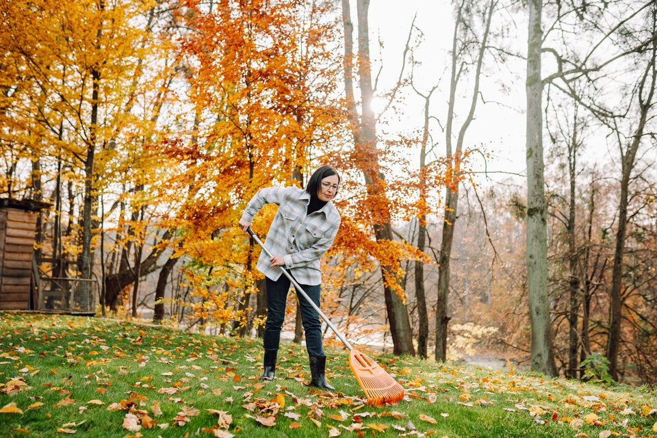Diese Gartenarbeiten sollten Sie noch vor dem Winter erledigen