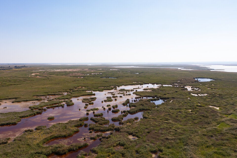 Raus in die Natur! 7 atemberaubende Frühlings-Ausflugsziele in Österreich