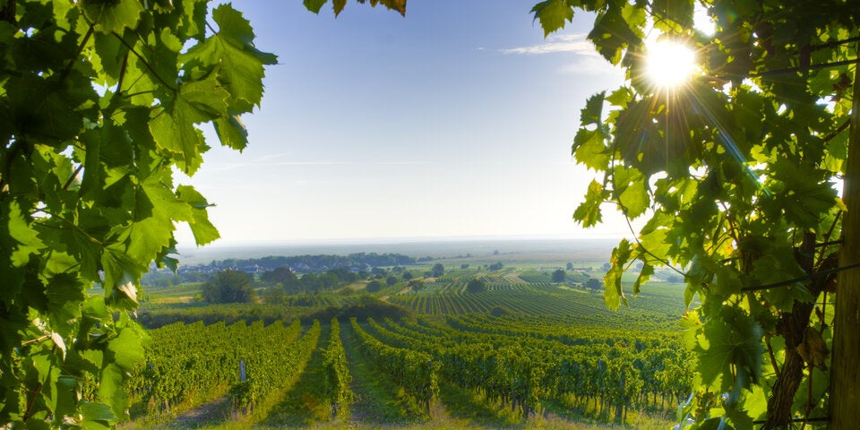 Burgenland: Top Oasen im Frühling