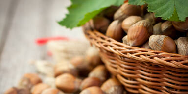 Haselnuss