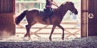 Reitstall Reiten Kind