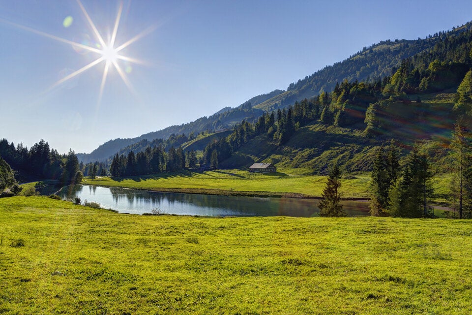 Rundweg Alter Rhein. Ein traumhaftes Naturschutzgebiet lockt bei Hohenems.