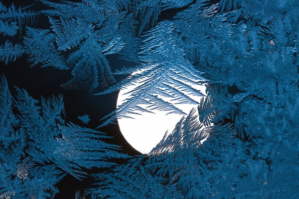 Letzter Supermond des Jahres am 5.12.: Auf 3 Sternzeichen wirkt der Vollmond intensiv