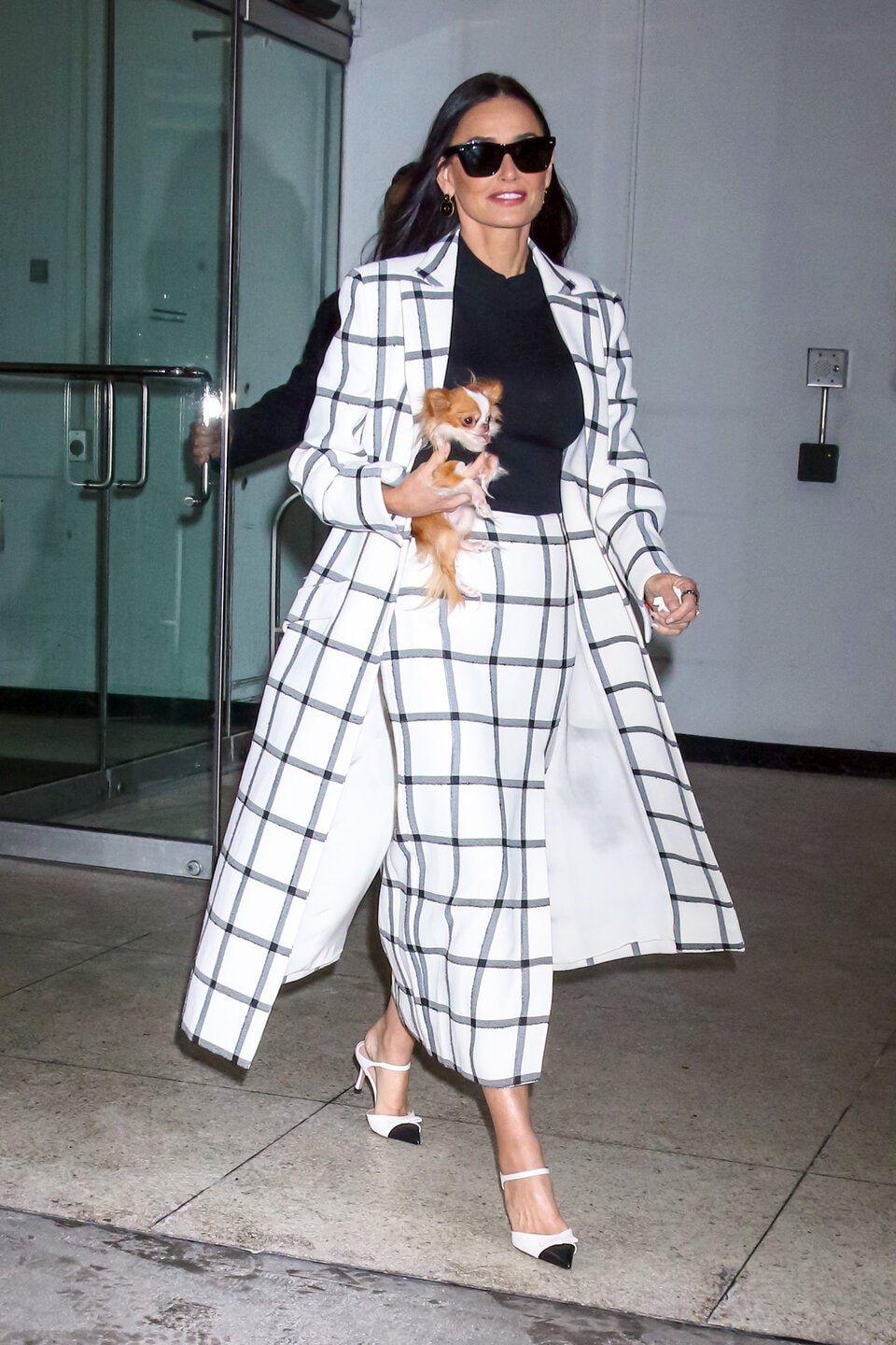 Demi Moore ist immer in Begleitung von ihrem Hund Pilaf.