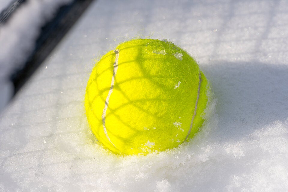 Darum sollten Sie im Winter einen Tennisball in den Garten legen