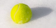 Darum sollten Sie einen Tennisball in den Garten legen