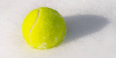 Darum sollten Sie im Winter einen Tennisball in den Garten legen
