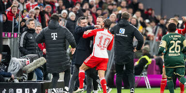Watschen-Bjelica für drei Spiele gesperrt