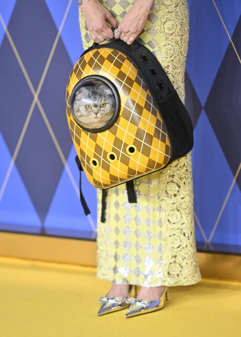 Skurriler Auftritt: Claudia Schiffer nimmt Katze mit auf den Red Carpet