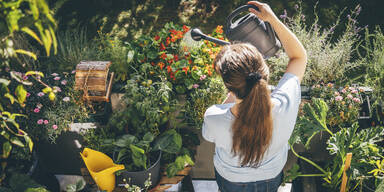 Gartenarbeit im Juni: So machen Sie den Garten sommerfit