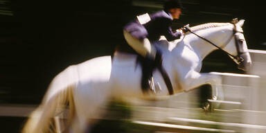 Springreiter peitscht Pferd zu Tode