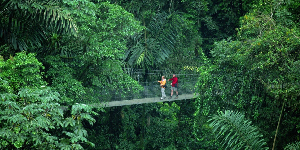 Taman Negara Regenwald