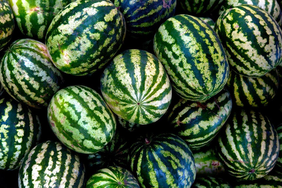 Kein Fehlgriff: So erkennen Sie eine wirklich gute Wassermelone