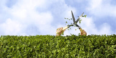 Achtung: Diese Gartenarbeit ist nur noch bis Ende Februar erlaubt