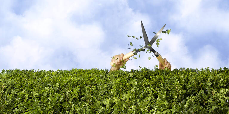 Achtung: Diese Gartenarbeit ist nur noch bis Ende Februar erlaubt