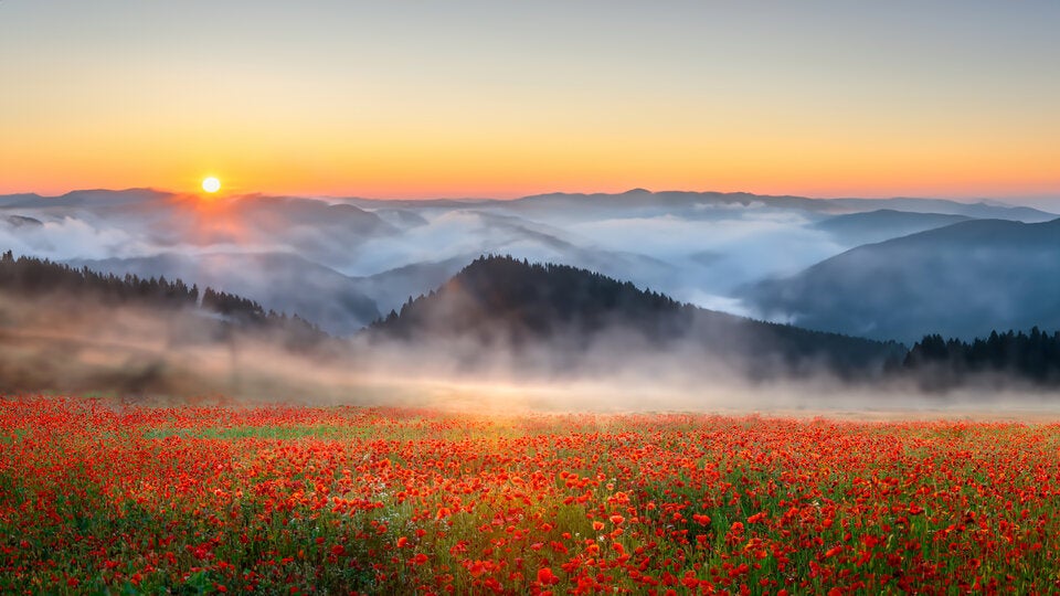Peace Index: Österreich ist drittfriedlichstes Land der Welt