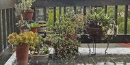 So machen Sie Balkon und Terrasse sturmsicher