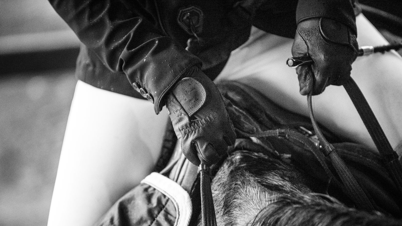 reitstar-f-r-15-jahre-gesperrt-wegen-tierqu-lerei-sport24-at