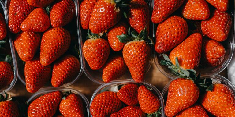 Vorsicht, Frühlingsfalle! Deshalb sollten Sie jetzt noch keine Erdbeeren kaufen