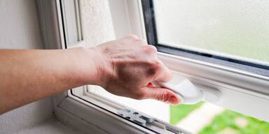 fenster