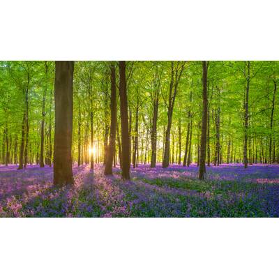 Platz 10: Hà Giang, Vietnam