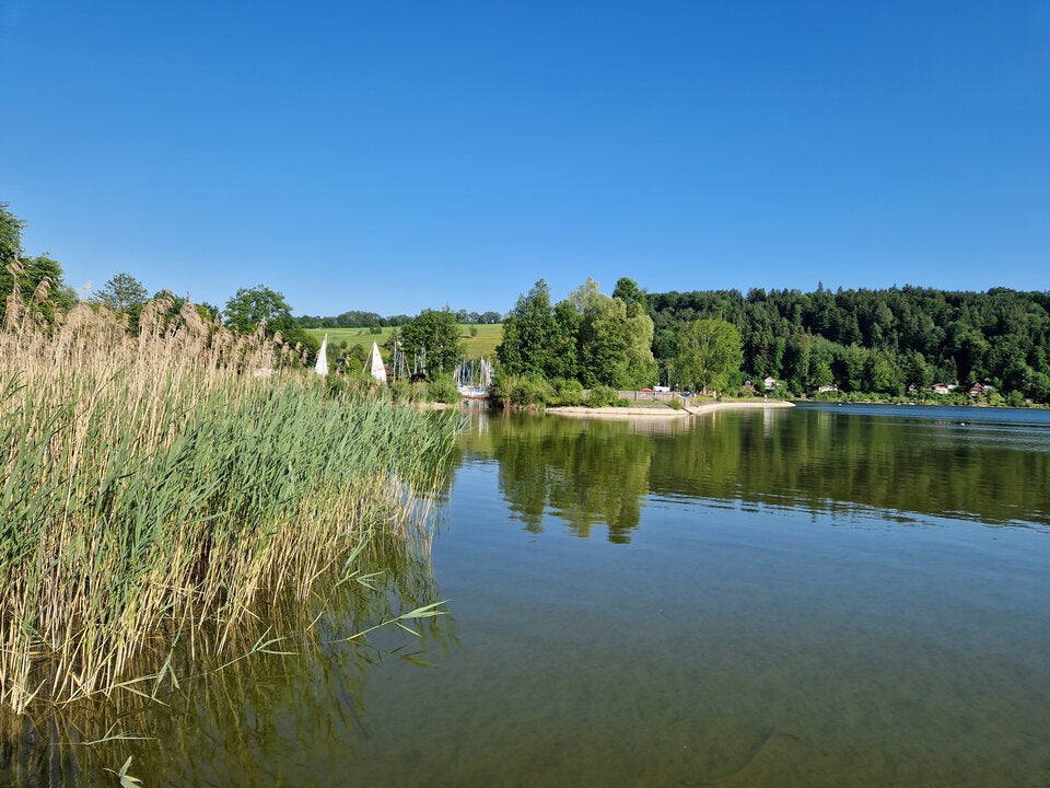 Salzburger Seenland: Mattsee, Grabensee & Co. im Check