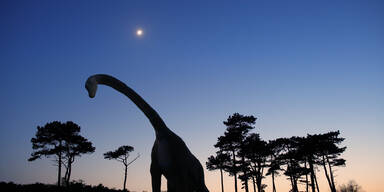 Dino-Revolution! Dieser Fund ver&auml;ndert ALLES