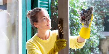 Alle wollen diesen Fensterputz-Roboter!