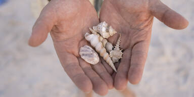 Italien, Spanien & Co.: Mit diesen Urlaubsmitbringseln machen Sie sich strafbar