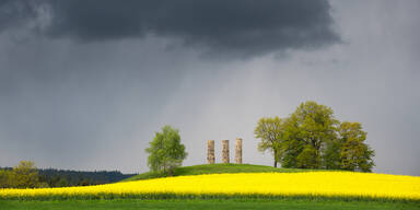 Nieder&ouml;sterreich Feld nass