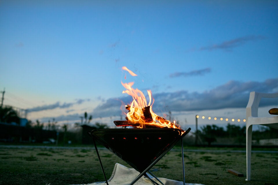 Sommer-Hack: Deshalb gehören Flusen aus dem Trockner in den Garten