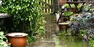 Nach viel Regen: Das sollten Sie im Garten jetzt (nicht) machen