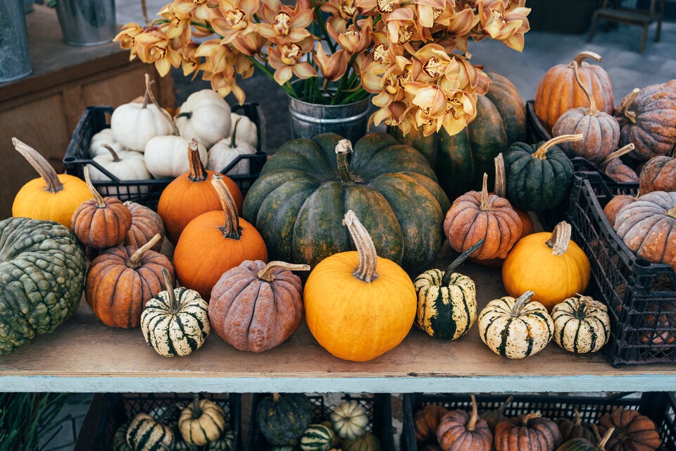 Deko-Gefahr: Diese Kürbisse können in der Wohnung gefährlich werden