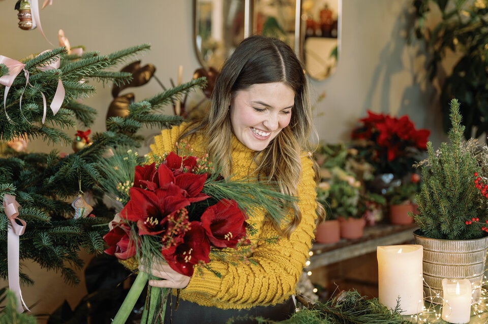 Weihnachten in Blüte: Die schönsten Pflanzen-Geschenke