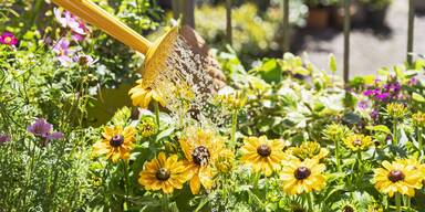 Weinkorken im Garten: So retten Sie Ihre Pflanzen vor dem Austrocknen