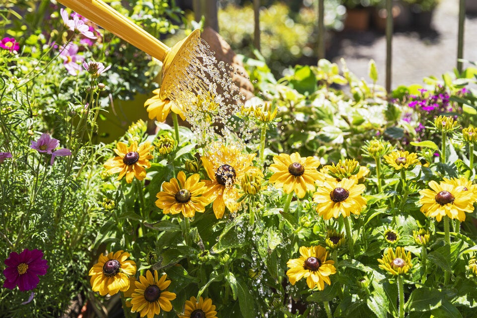 Frühling auf Balkon & Terrasse: Mit diesen Tipps wird’s richtig schön