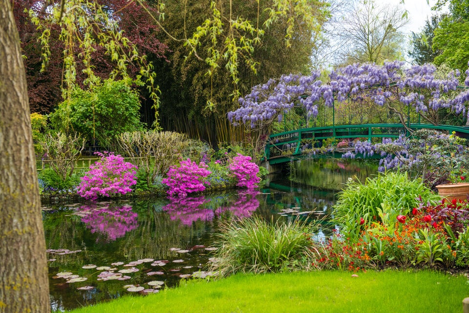 Die schönsten Garten-Trends 2025: Das kommt heuer in den Garten