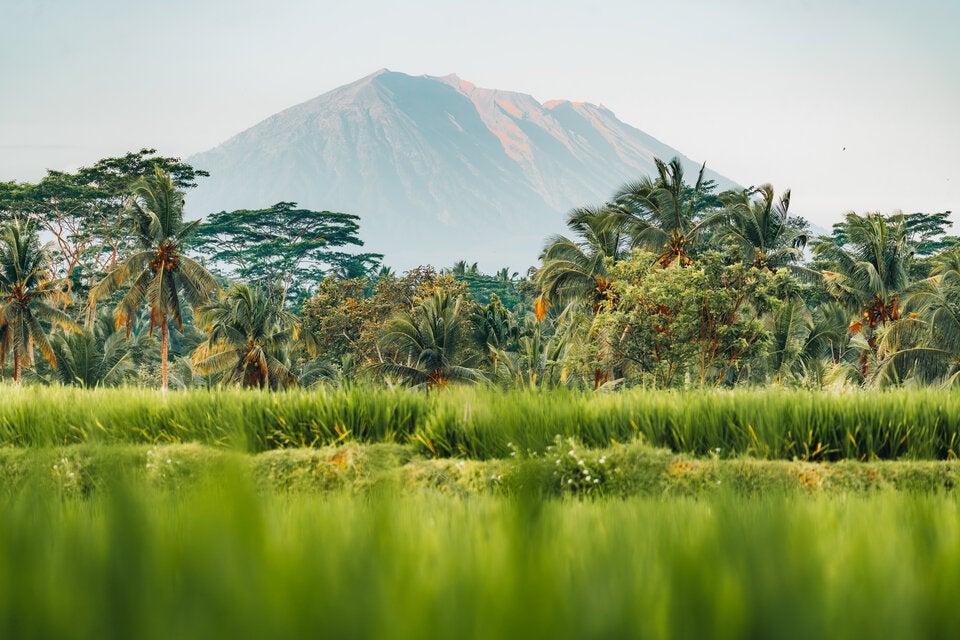 Tripadvisor kürt die besten Reiseziele für 2026: Diese Orte dürfen Sie nicht verpassen