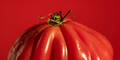 Die teuerste Tomate der Welt gibt's jetzt auch in Österreich